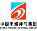Shanghai Pinxing Motor-Profeion Motor Co. , Ltd.