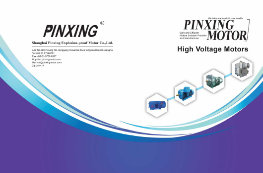 Shanghai Pinxing Motor-Profeion Motor Co. , Ltd.